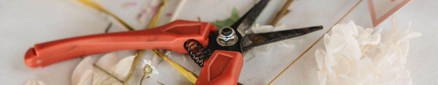 Talleres florales y experiencias creativas | Jese & Mici